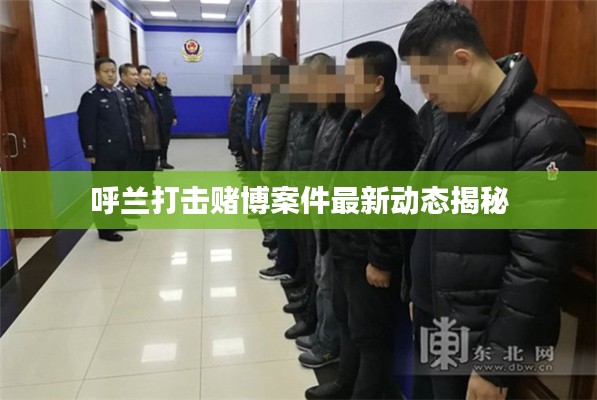 呼兰打击赌博案件最新动态揭秘