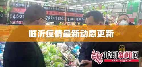 临沂疫情最新动态更新