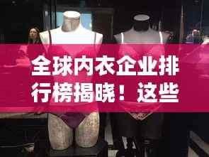 全球内衣企业排行榜揭晓!这些品牌独占鳌头