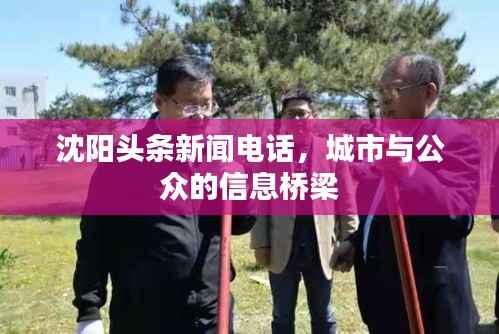 沈阳头条新闻电话，城市与公众的信息桥梁