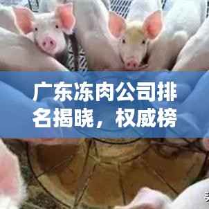 广东冻肉公司排名揭晓，权威榜单，优质企业一览无余