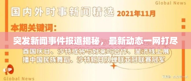 突发新闻事件报道揭秘，最新动态一网打尽