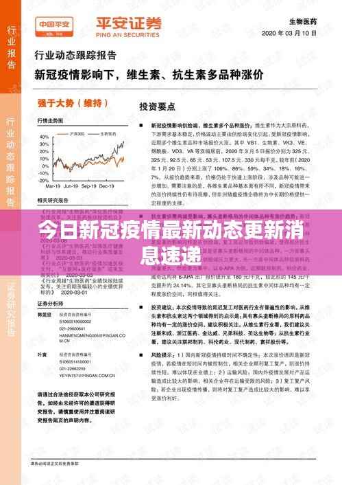 今日新冠疫情最新动态更新消息速递