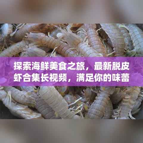 探索海鲜美食之旅，最新脱皮虾合集长视频，满足你的味蕾冒险！