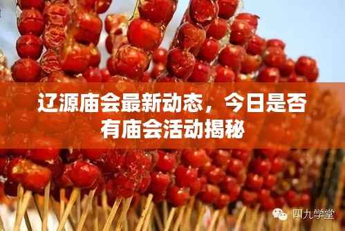 辽源庙会最新动态,今日是否有庙会活动揭秘