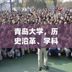 青岛大学，历史沿革、学科优势与未来展望揭秘