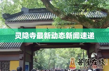 灵隐寺最新动态新闻速递