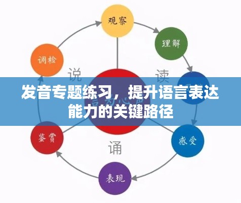 发音专题练习,提升语言表达能力的关键路径