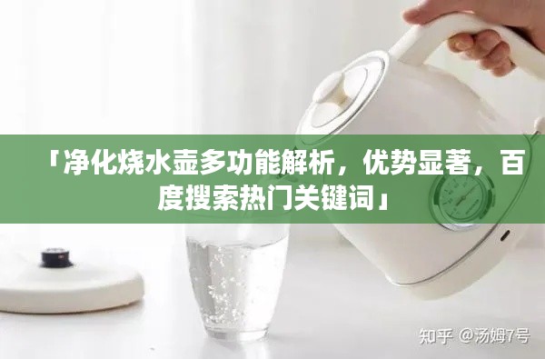 「净化烧水壶多功能解析，优势显著，百度搜索热门关键词」