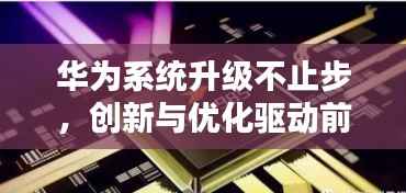 七贵三公 第5页