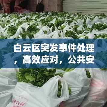 白云区突发事件处理，高效应对，公共安全有保障