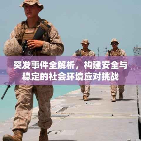 突发事件全解析，构建安全与稳定的社会环境应对挑战
