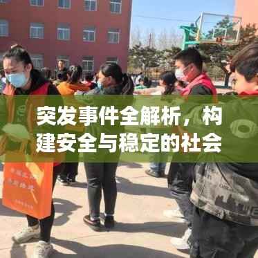 突发事件全解析,构建安全与稳定的社会环境应对挑战