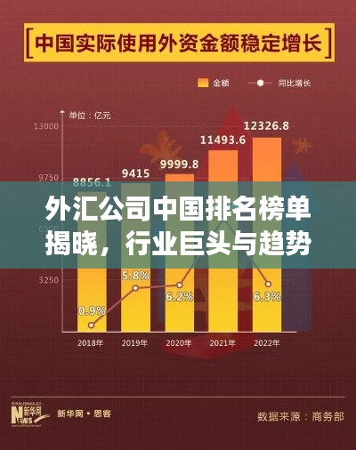 外汇公司中国排名榜单揭晓，行业巨头与趋势展望