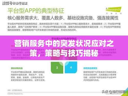 营销服务中的突发状况应对之策，策略与技巧揭秘