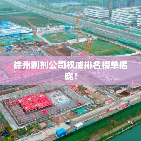 徐州制剂公司权威排名榜单揭晓！