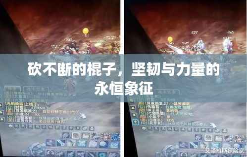 砍不断的棍子，坚韧与力量的永恒象征