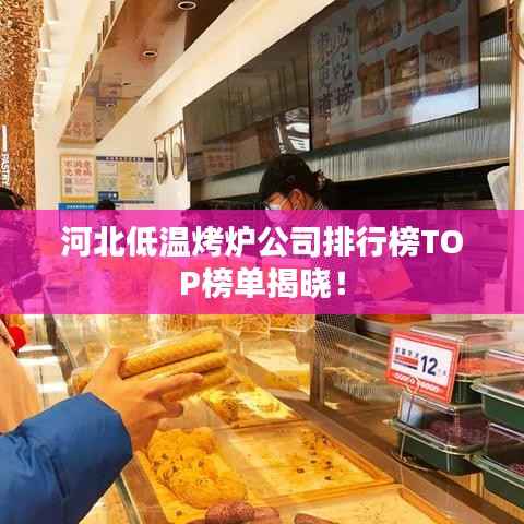河北低温烤炉公司排行榜TOP榜单揭晓！