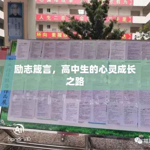 励志箴言,高中生的心灵成长之路