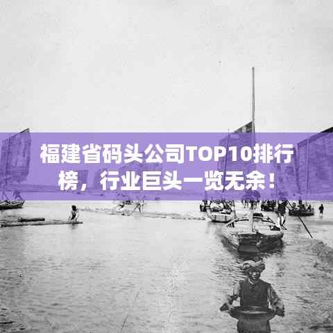 福建省码头公司TOP10排行榜，行业巨头一览无余！