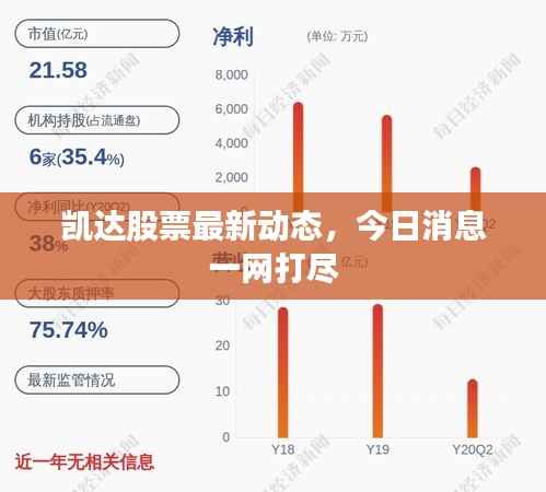 凯达股票最新动态，今日消息一网打尽