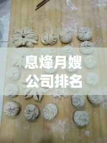 息烽月嫂公司排名及深度市场分析，洞悉行业动态，为您的育儿选择提供参考
