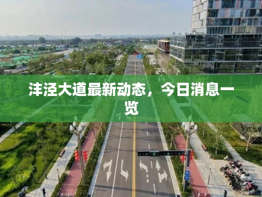 沣泾大道最新动态，今日消息一览
