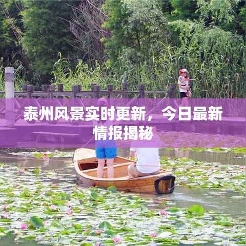 泰州风景实时更新，今日最新情报揭秘