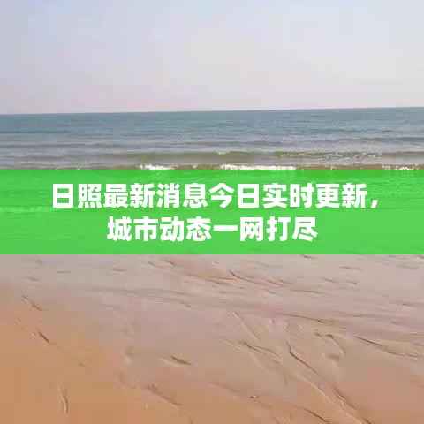 日照最新消息今日实时更新，城市动态一网打尽