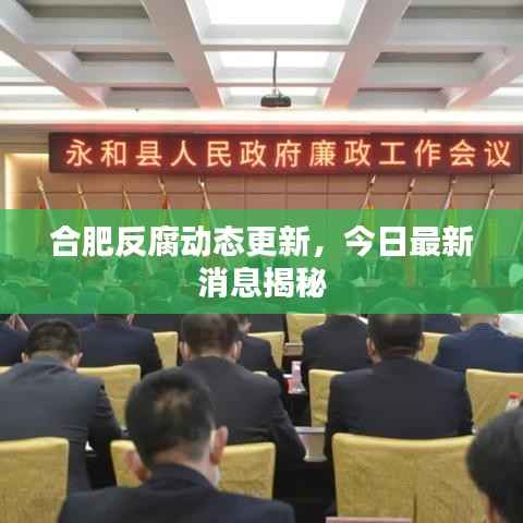 合肥反腐动态更新，今日最新消息揭秘