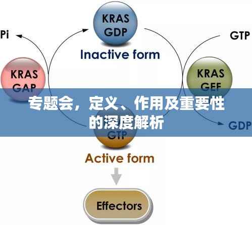 专题会,定义、作用及重要性的深度解析