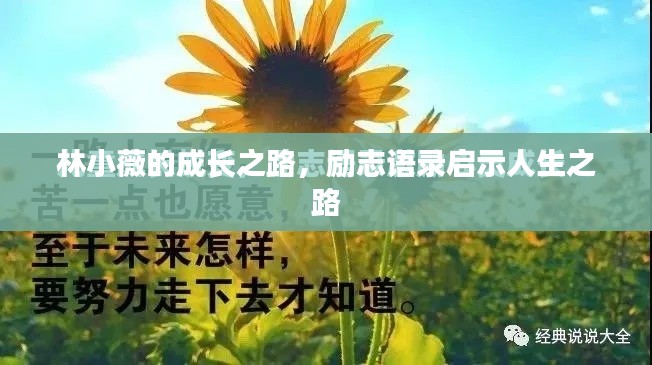 林小薇的成长之路，励志语录启示人生之路
