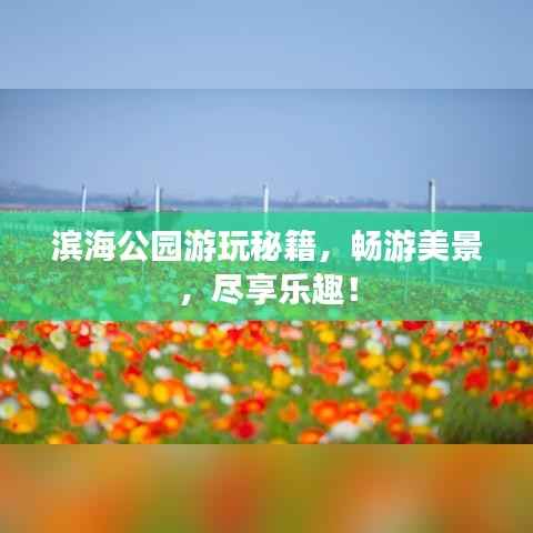 滨海公园游玩秘籍，畅游美景，尽享乐趣！