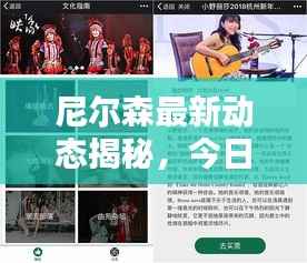 尼尔森最新动态揭秘，今日消息一网打尽！