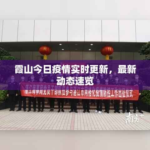 霞山今日疫情实时更新，最新动态速览