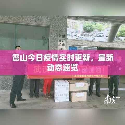 霞山今日疫情实时更新,最新动态速览
