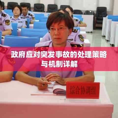 政府应对突发事故的处理策略与机制详解