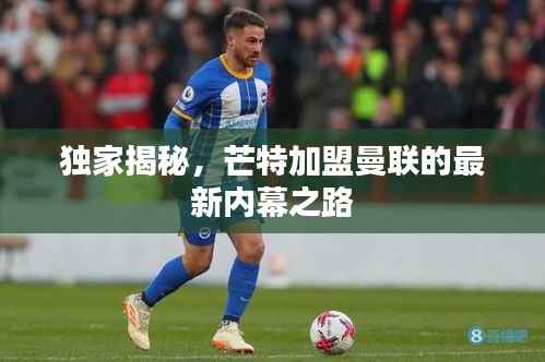 独家揭秘，芒特加盟曼联的最新内幕之路