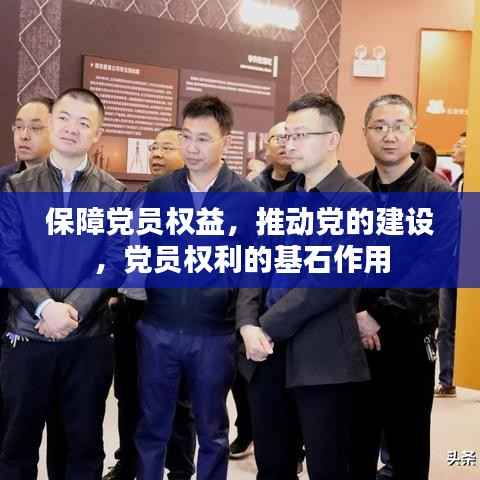 保障党员权益，推动党的建设，党员权利的基石作用