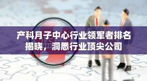 产科月子中心行业领军者排名揭晓，洞悉行业顶尖公司