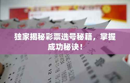独家揭秘彩票选号秘籍，掌握成功秘诀！