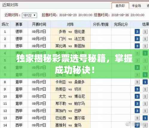 独家揭秘彩票选号秘籍,掌握成功秘诀!