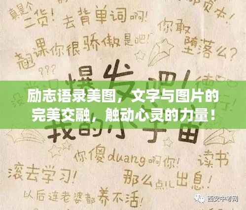 龙飞九五 第3页