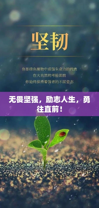 听见风就是雨 第4页