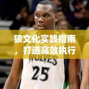 狼文化实践指南，打造高效执行团队