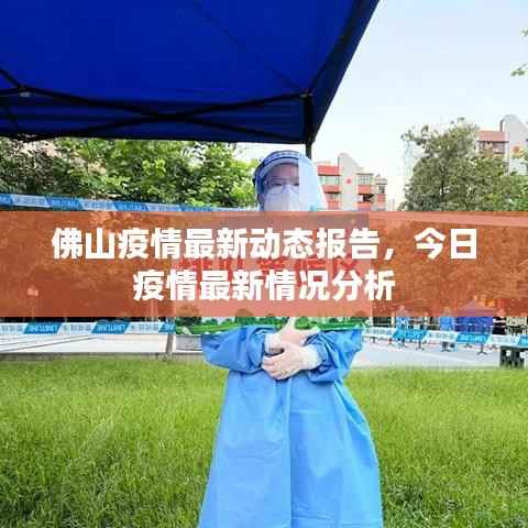 佛山疫情最新动态报告,今日疫情最新情况分析