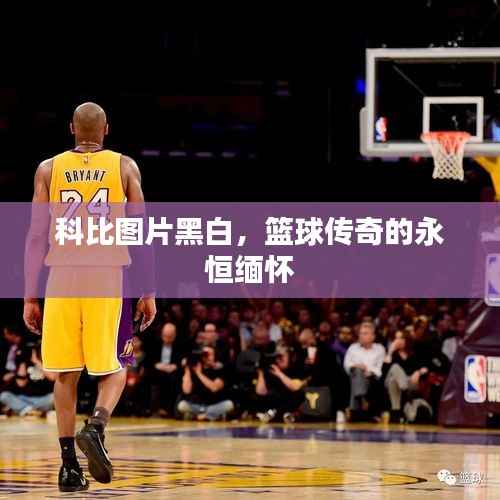 科比图片黑白，篮球传奇的永恒缅怀