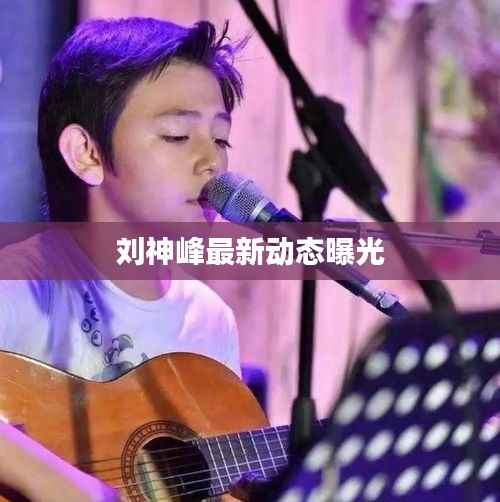 刘神峰最新动态曝光