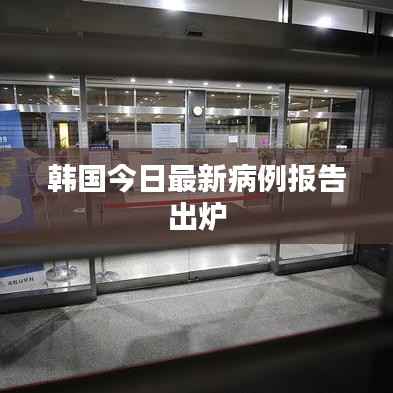 韩国今日最新病例报告出炉