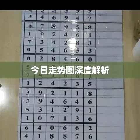 今日走势图深度解析